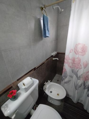 łazienka z toaletą i zasłoną prysznicową w obiekcie Puñadito de descanso w mieście Salta
