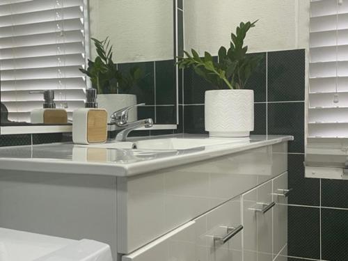 a bathroom with a sink with a potted plant on it at Gallipoli House- The Loft Apartment in Narrabri