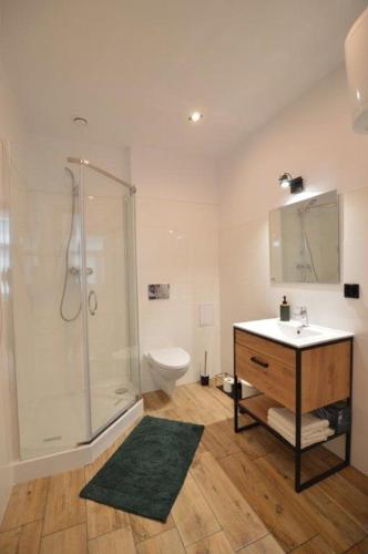 a bathroom with a shower and a sink and a toilet at Apartament nad Wisłą in Płock