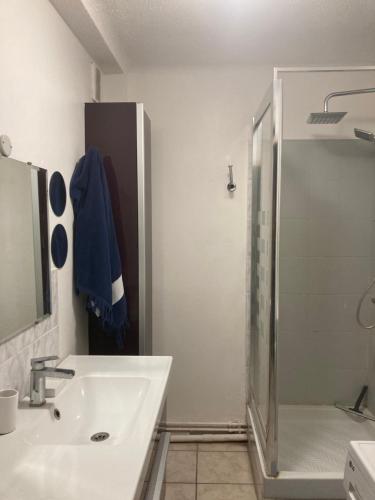 une salle de bain blanche avec une douche et un lavabo dans l'établissement La Pointe Rouge vue mer, à Marseille