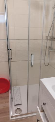 a shower with a glass door in a bathroom at Apartments Villa Elma in Mošćenička Draga