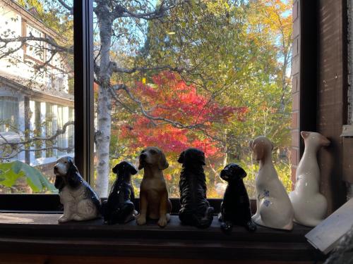 a group of stuffed dogs sitting on a window sill at Hotel Sejour Mint in Hakuba in Hakuba