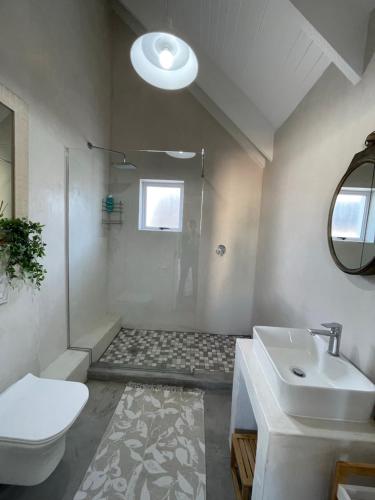 a bathroom with a shower and a toilet and a sink at Bougain Villa Studio 2 in Paternoster