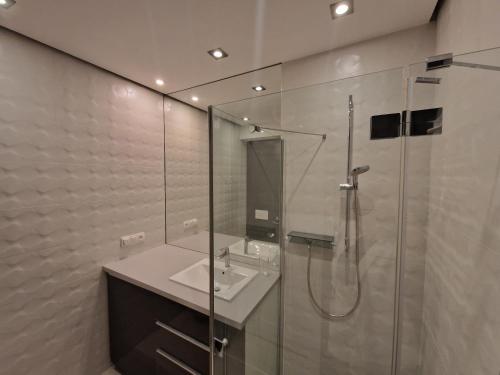 a bathroom with a sink and a glass shower at Komfort w najlepszej lokalizacji in Wrocław