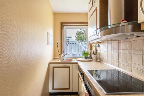 Kuchyň nebo kuchyňský kout v ubytování Ferienhaus Herich