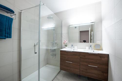 une salle de bain avec une douche, un lavabo et un miroir dans l'établissement Happyfew Sainte Anne, à Nice