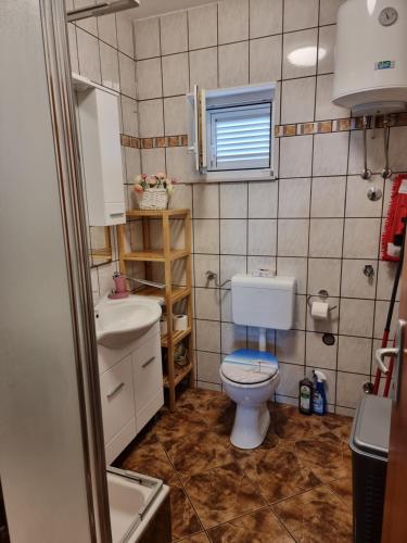 a small bathroom with a toilet and a sink at Apartments Katarina in Šmrika