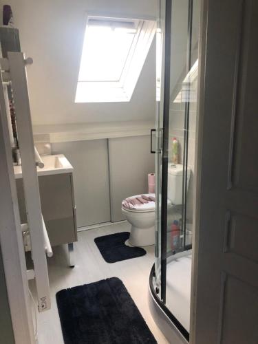 a bathroom with a toilet and a skylight at LE GRILLOU in Couterne
