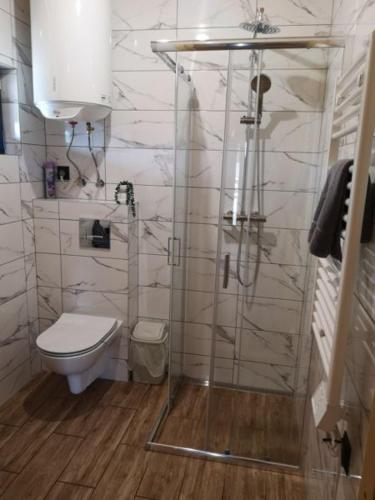 a bathroom with a toilet and a glass shower at Domki Całoroczne Danielowa Ostoja-Zator,Palczowice in Zator
