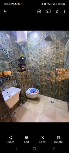 a bathroom with a shower and a toilet and a sink at Sufi Khandar Home Stay in New Delhi