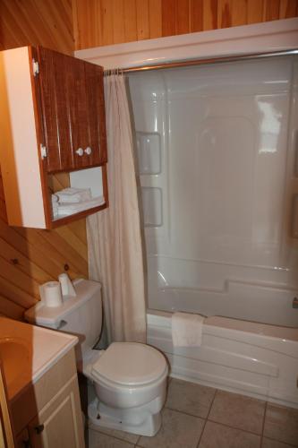 a bathroom with a white toilet and a shower at Motel et Chalets Bo-Fleuve Evangeline in Saint-Siméon