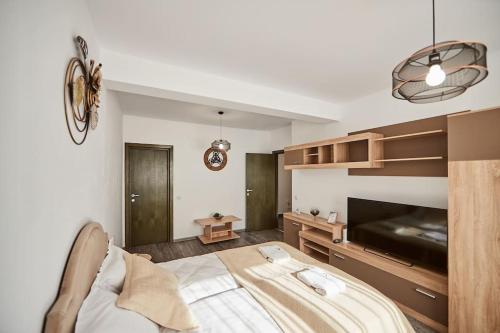 - une chambre avec un grand lit et une télévision dans l'établissement Sona Confort, à Braşov