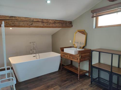 a bathroom with a tub and a sink and a mirror at La Terrasse du Temps Jadis ConcirgerieDameCarcas in Carcassonne