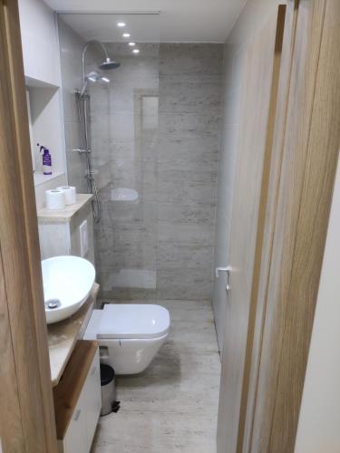 a bathroom with a toilet and a sink and a shower at Apartman Amadeus in Gradina