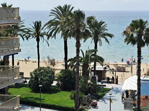 2ª Línea Playa Agustina Aragon