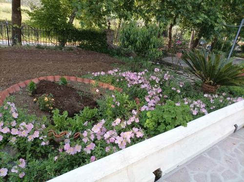 a flower bed with pink flowers in a garden at Mountain Voyage Residences 