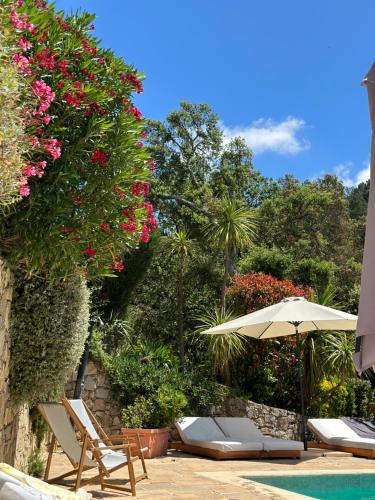 um pátio com cadeiras e um guarda-sol ao lado de uma piscina em Le Mouron Rouge em La Garde-Freinet