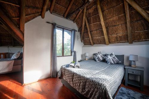 Un dormitorio con una cama y una ventana grande. en Nkanyi Wildlife House & Cottage, en Hoedspruit