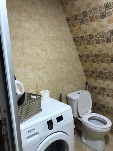 a bathroom with a washing machine and a toilet at Cottage Sataplia in Kutaisi