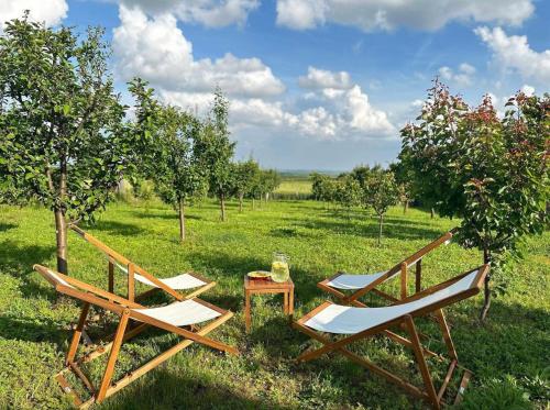duas cadeiras e uma mesa num pomar de maçãs em Mila Vila, Fruška Gora em Irig