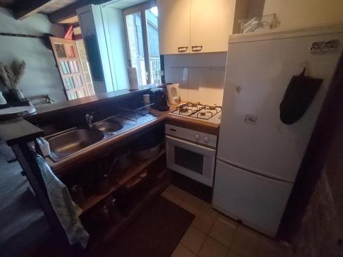 eine kleine Küche mit Spüle und Kühlschrank in der Unterkunft L'Aulnerie in La Chapelle-Cécelin