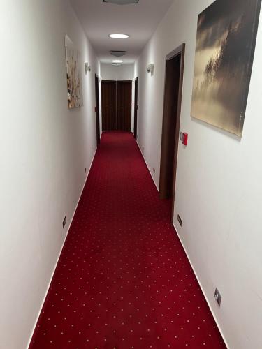 Imagen de la galería de Hotel Krušnohorský Dvůr, en Cínovec