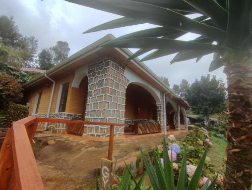 a house with a palm tree in front of it at LUSHOTO EXECUTIVE LODGE in Lushoto
