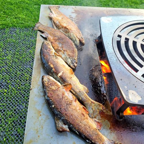 a group of fish cooking on a grill at Apartmány Nad rybníky in Horní Planá
