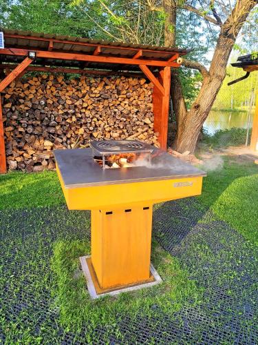 a grill sitting on top of a table in a yard at Apartmány Nad rybníky in Horní Planá