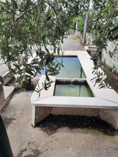 a stone bench with a pool of water next to a tree at Mary House in Negrar