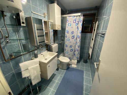 ein blau gefliestes Bad mit einem WC und einer Dusche in der Unterkunft Happy holiday in Visoko