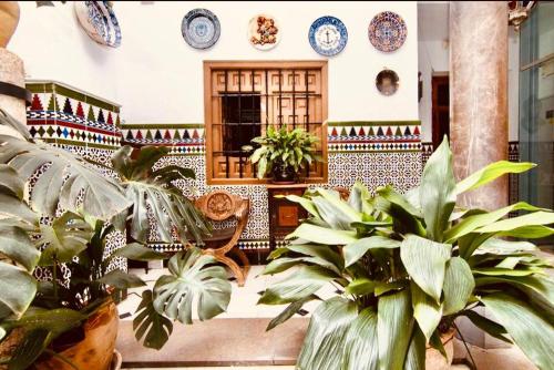 una habitación con muchas plantas y platos en la pared en Laika House en Granada