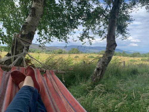 a person laying on a hammock in a tree at Birkenshaw - Beautiful Shepherd’s Hut in the Highlands. in Dornoch