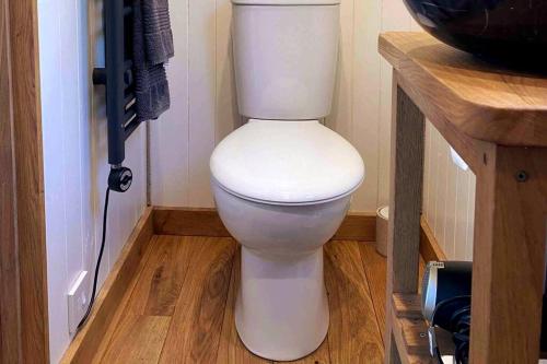 bagno con servizi igienici bianchi e pavimento in legno. di The Hereford Hut, Charming 1 bedroom Shepherds Hut a Callow