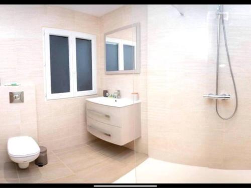 une salle de bain avec toilettes, lavabo et douche dans l'établissement Charming Apartment in Nice, à Nice
