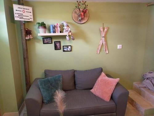 ein Wohnzimmer mit einem grauen Sofa und bunten Kissen in der Unterkunft La Marmotte du Vivier in Étival-Clairefontaine