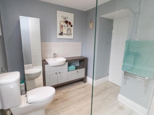 a bathroom with a toilet and a sink and a shower at 4 Tyne View in Hexham