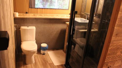 a small bathroom with a toilet and a sink at Camping Campo dei Fiori - Glamping4all in Vada