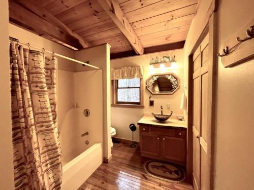 a bathroom with a tub and a sink and a shower at Peaceful Tellico View Home with Private Hot Tub in Tellico Plains
