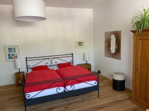 a bedroom with a bed with red pillows at Loft63 am Bodensee in Arbon