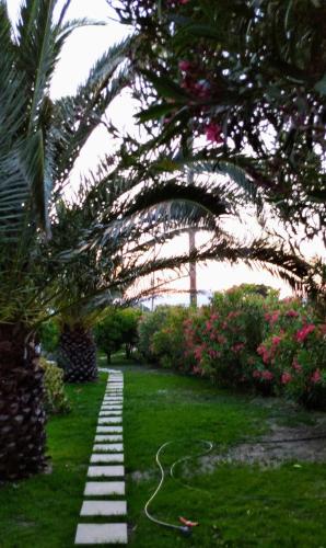 a path in a garden with a rope on the grass at ANCIENT MEROPIA, Apollonia in Apollonia