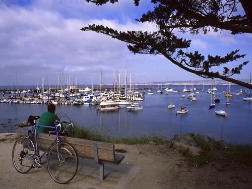 a man sitting on a bench looking at a marina at 3823 Sand Dollar House condo in Castroville