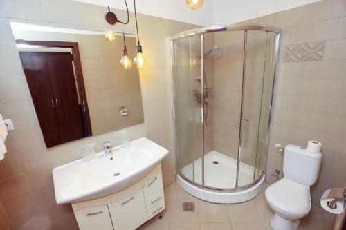 a bathroom with a shower and a sink and a toilet at Hotel Dusan si Fiul Resita Sud in Reşiţa