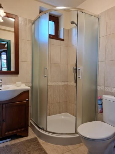 a bathroom with a shower with a toilet and a sink at Duzzogó Vendégház Agárd in Gárdony