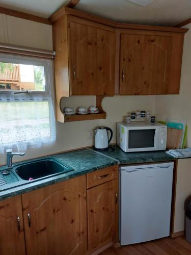 una cocina con fregadero y microondas en Mobilní dům Rimini a Monaco v kempu ve Výrovicích, en Výrovice