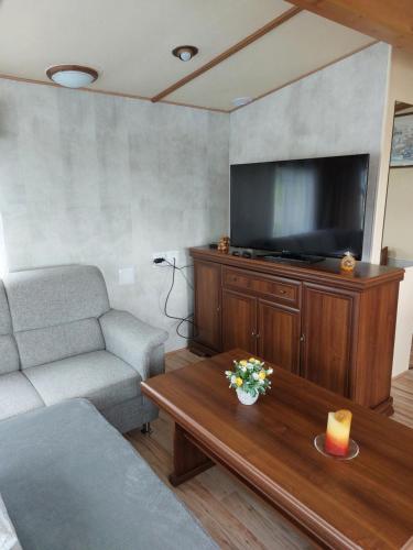 ein Wohnzimmer mit einem Sofa und einem Flachbild-TV in der Unterkunft Mobilní dům Rimini a Monaco v kempu ve Výrovicích in Výrovice