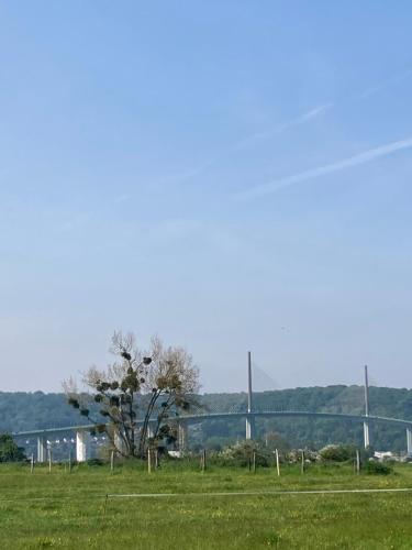un champ avec un arbre et une clôture dans l'établissement Le Paradis de la Seine, à Notre-Dame-de-Bliquetuit