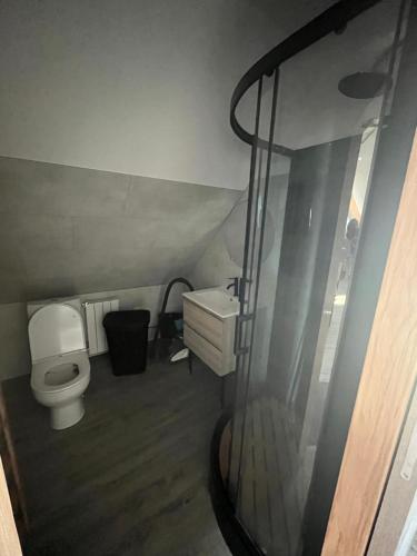 une petite salle de bain avec toilettes et douche dans l'établissement Le Paradis de la Seine, à Notre-Dame-de-Bliquetuit