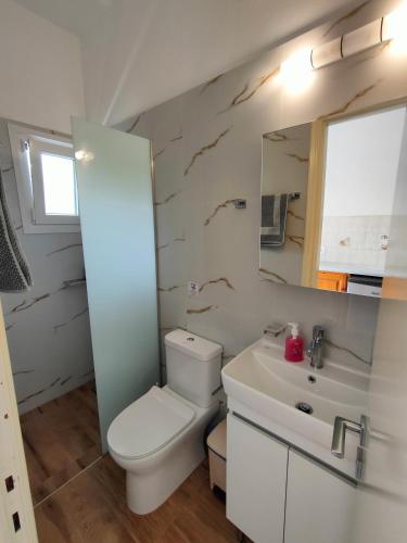 a bathroom with a toilet and a sink and a mirror at Dionisos Apts Gouvia by Estia in Corfu