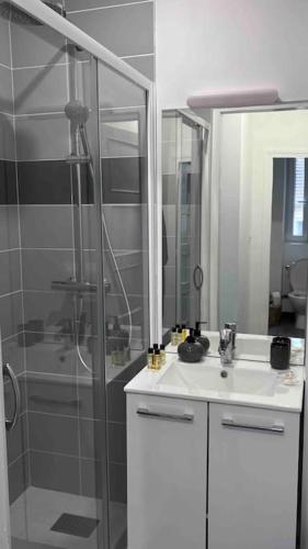 La salle de bains est pourvue d'une douche, d'un lavabo et d'un miroir. dans l'établissement Appartement f2 Résidence Nassau, à Beauvais
